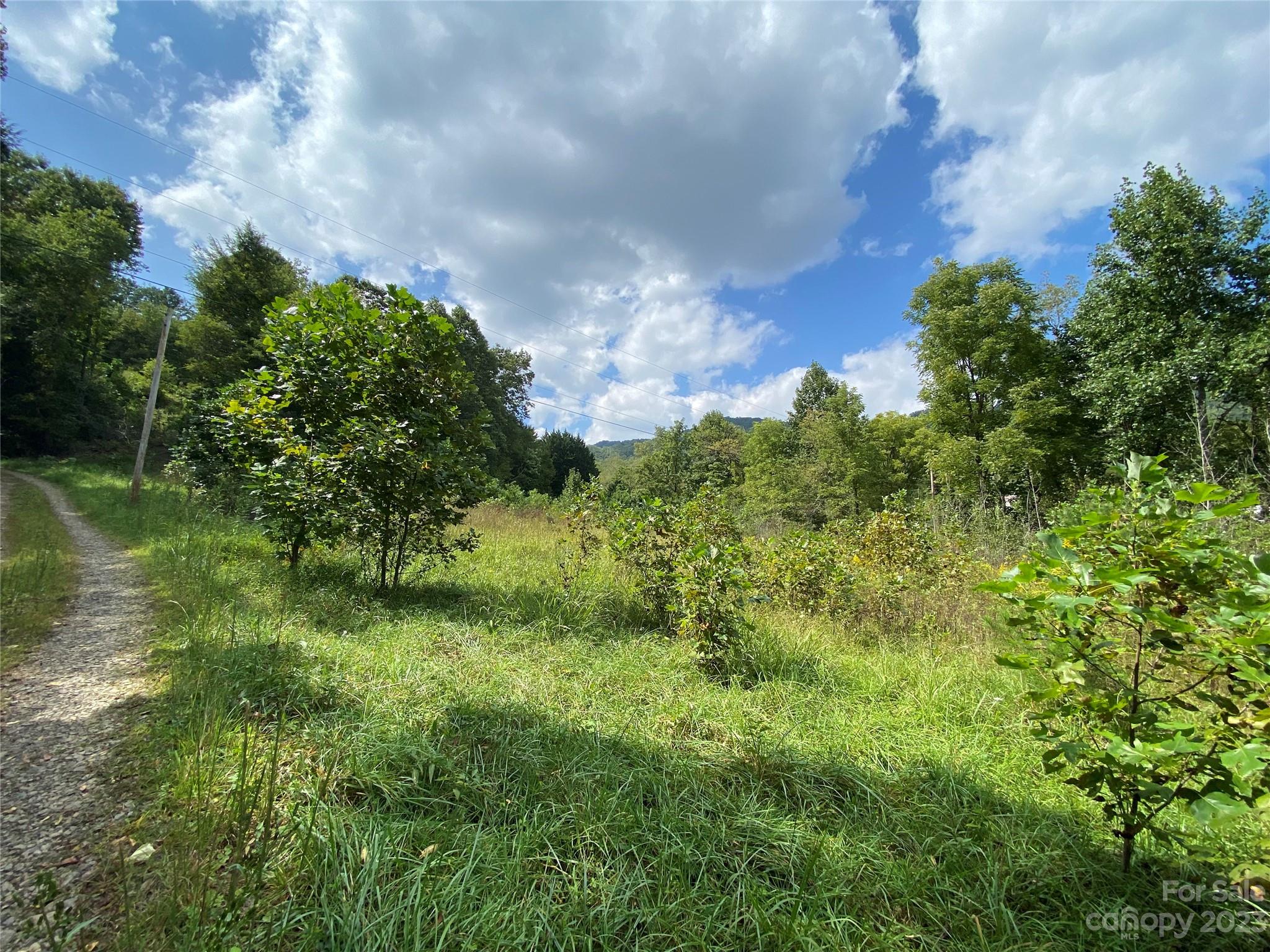 00000 Screech Owl Drive Property Photo 3