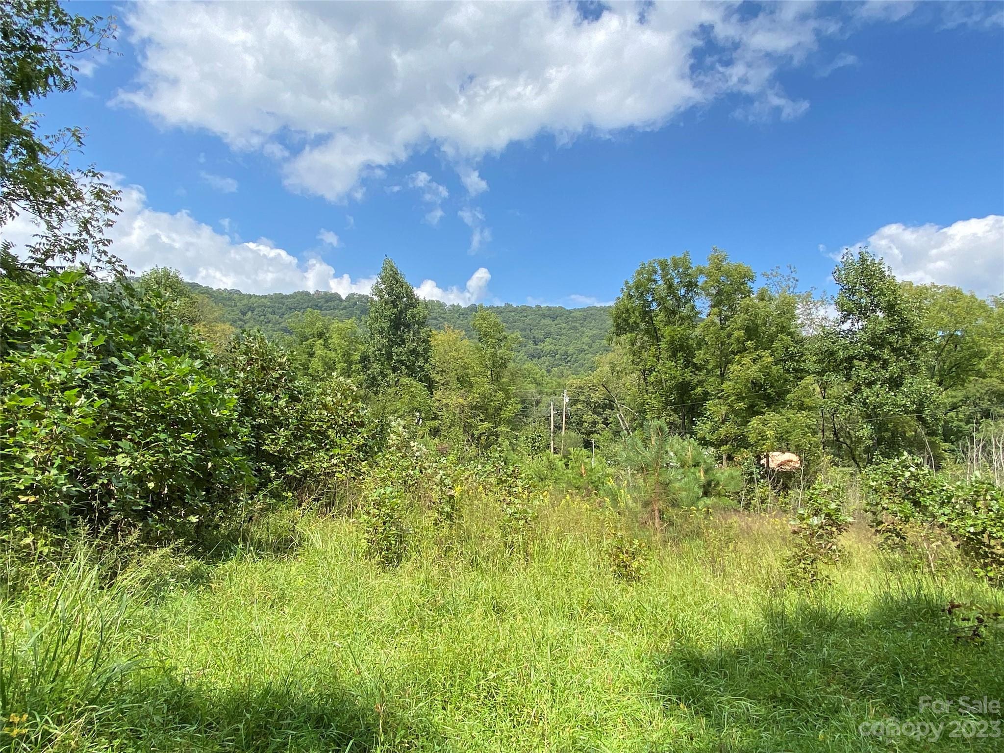 00000 Screech Owl Drive Property Photo 8