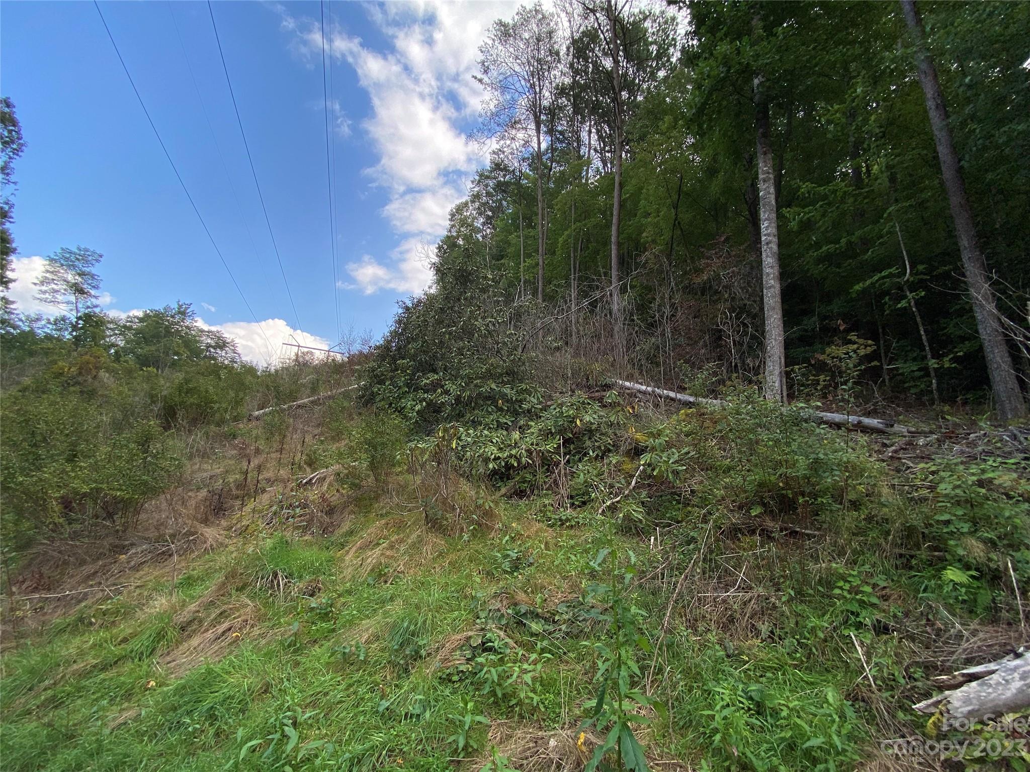 00000 Screech Owl Drive Property Photo 11