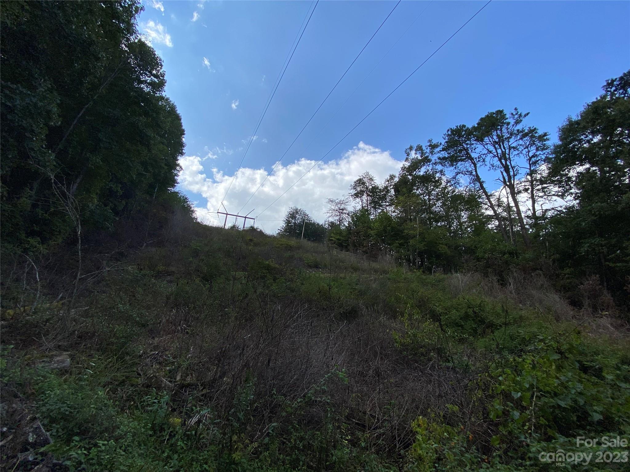 00000 Screech Owl Drive Property Photo 12