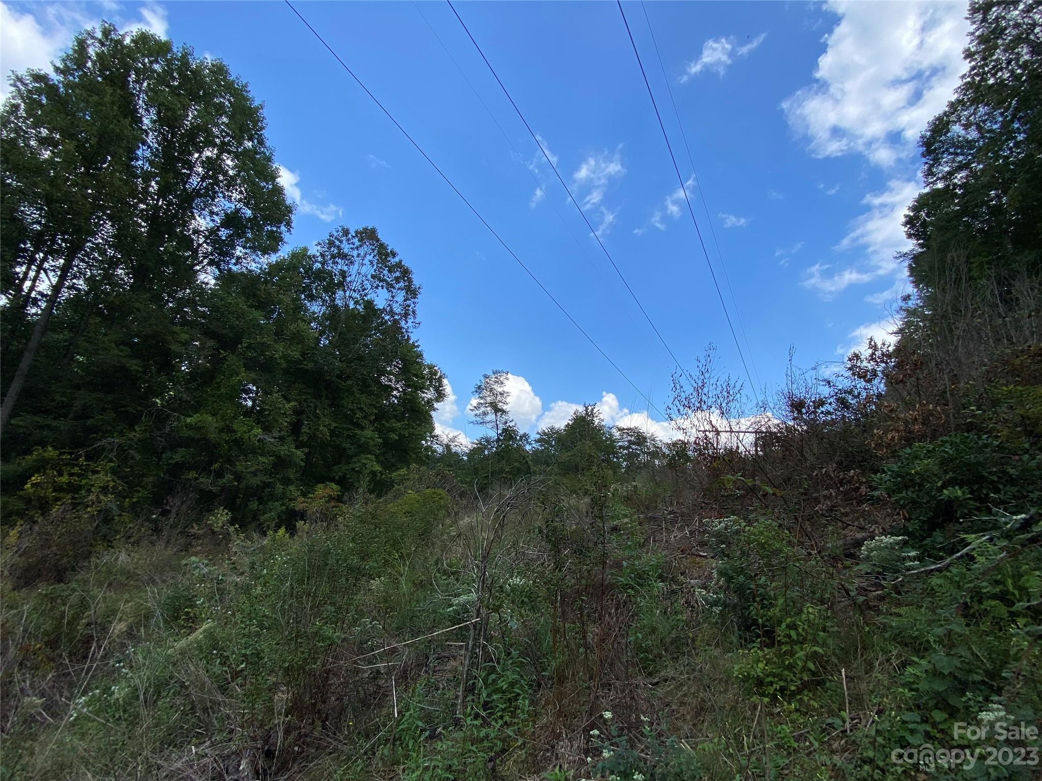 00000 Screech Owl Drive Property Photo 13