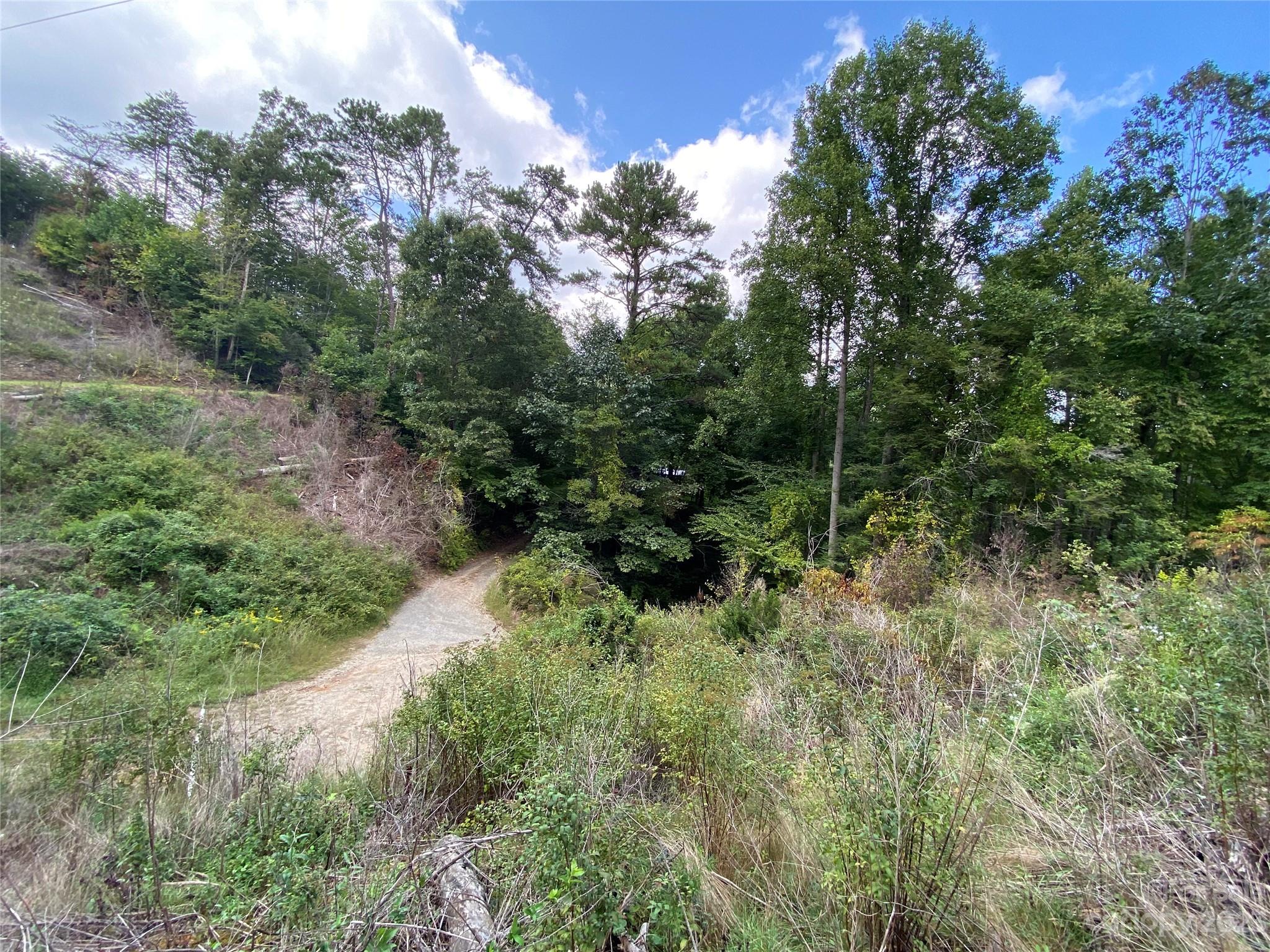 00000 Screech Owl Drive Property Photo 14