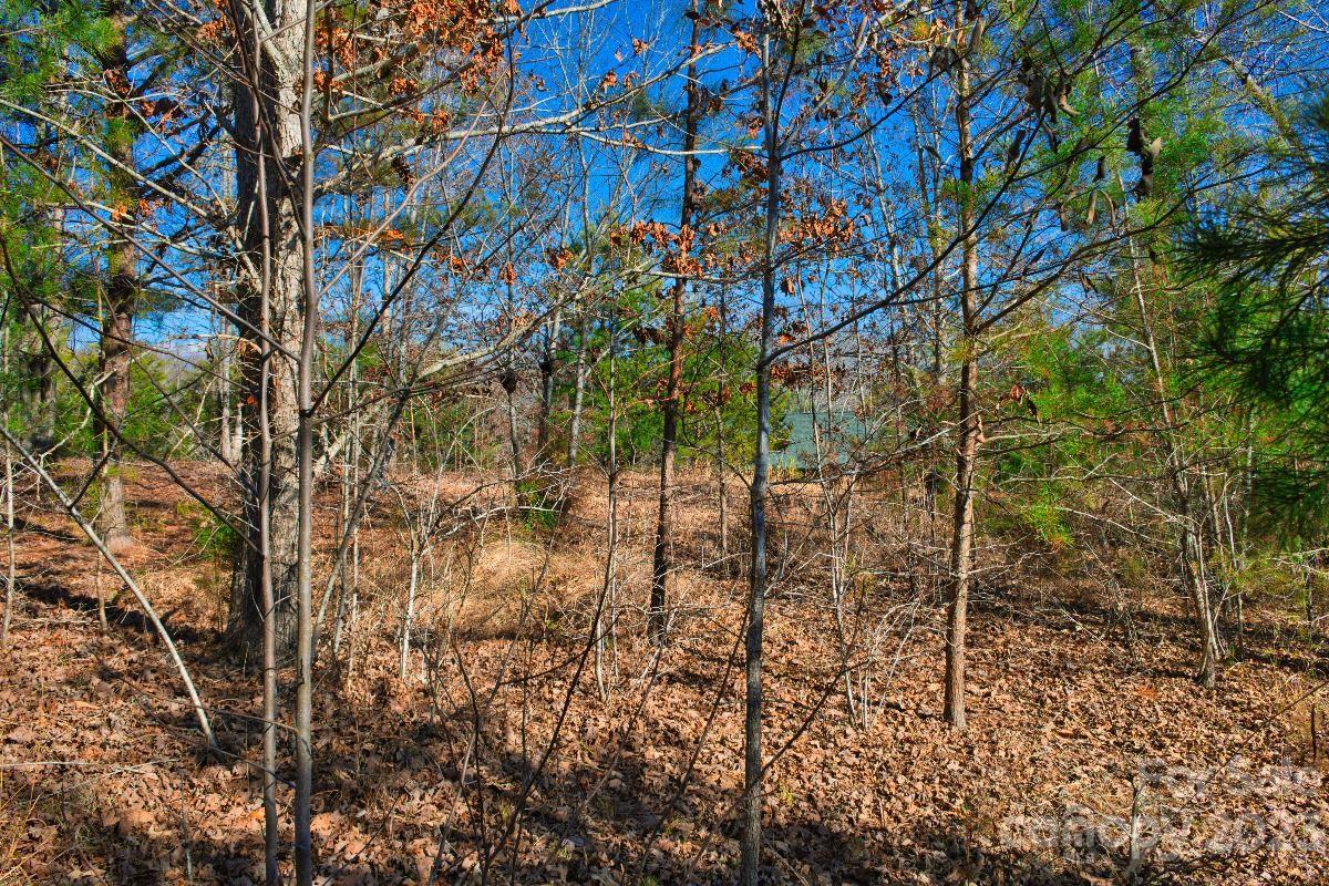 0 Whitestone Circle 81 Property Photo 2