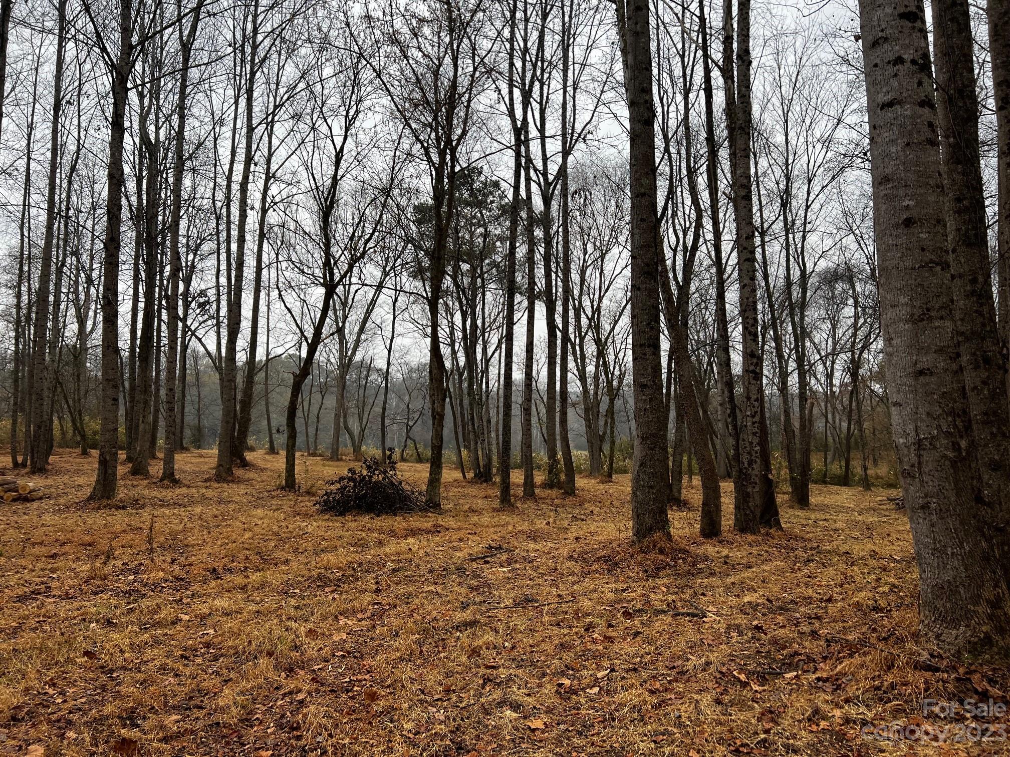 Lot 150 Lookout Dam Road Property Photo 8