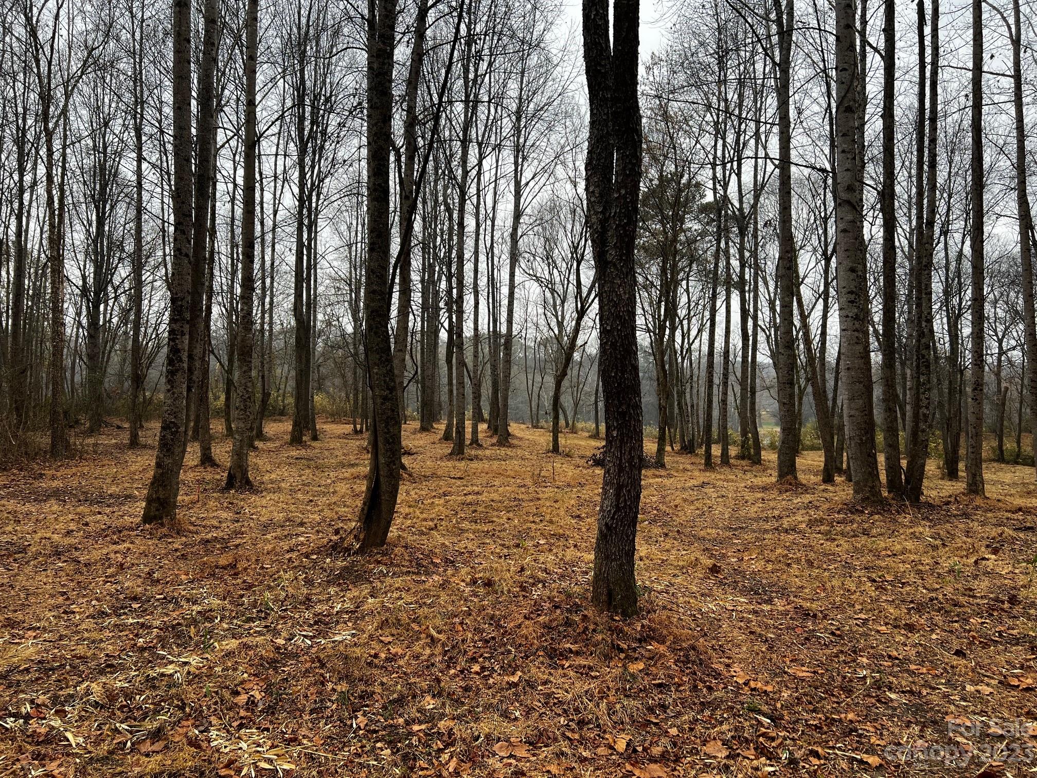 Lot 150 Lookout Dam Road Property Photo 10