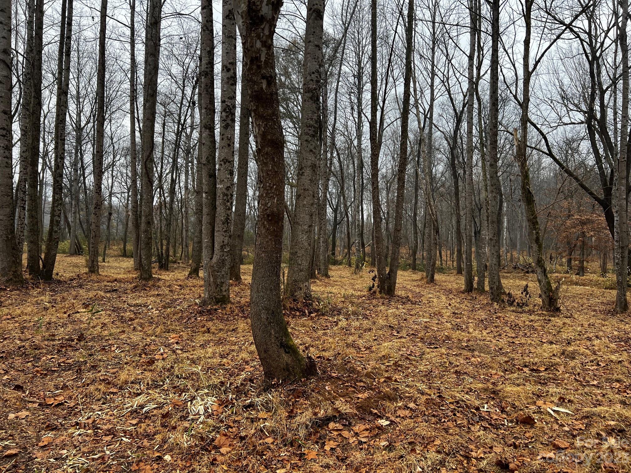 Lot 150 Lookout Dam Road Property Photo 11