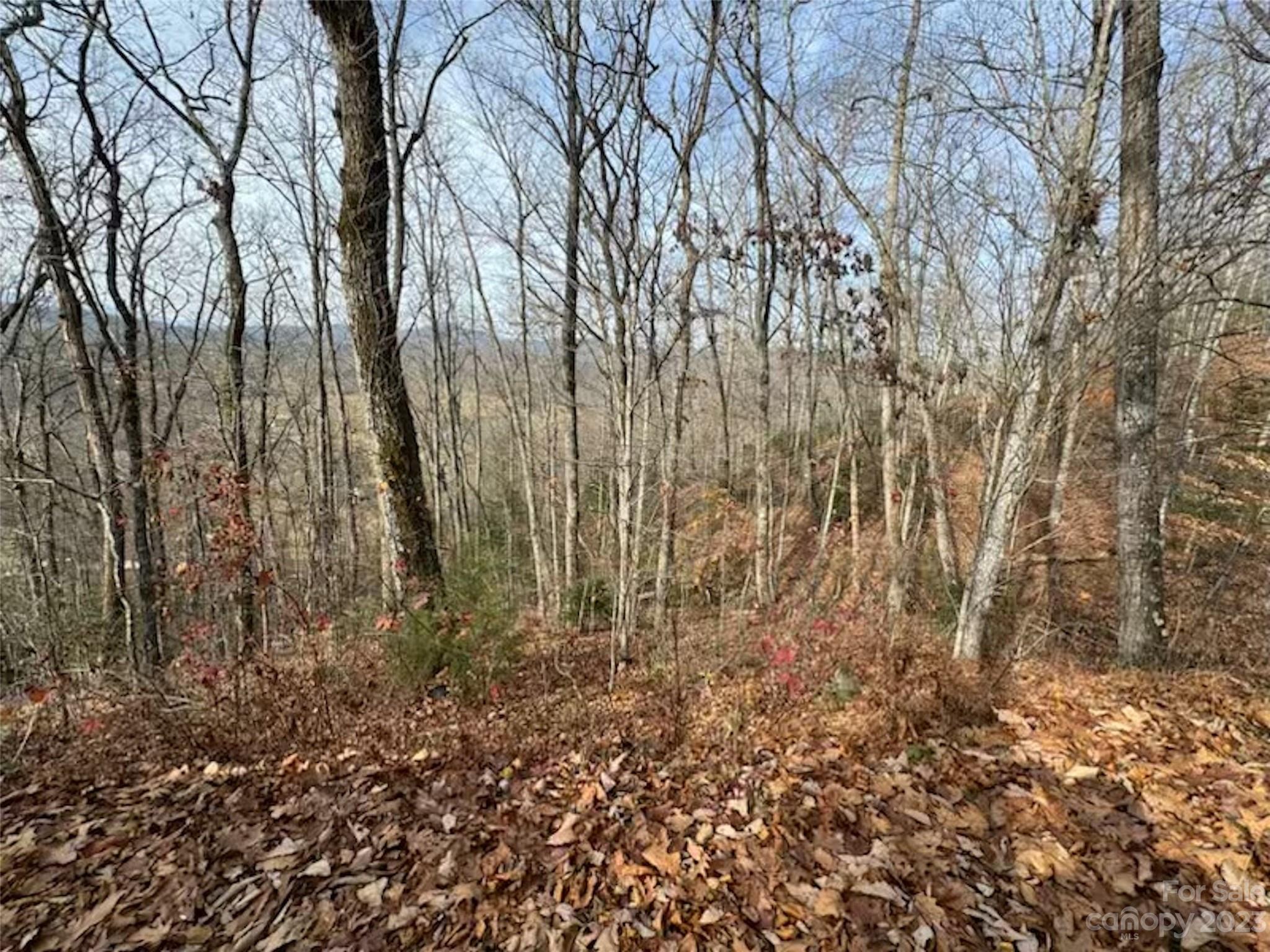 Lot 17 Franklin Farm Road Property Photo 3