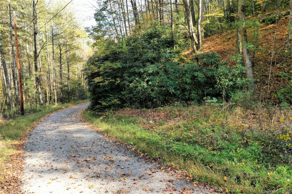 Vl40 Mountain Forest Estates None 40 Property Photo 1