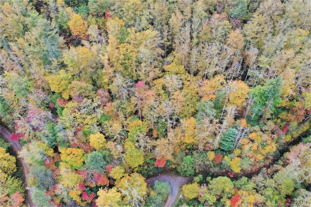 Vl74 Mountain Forest Estates None Property Photo