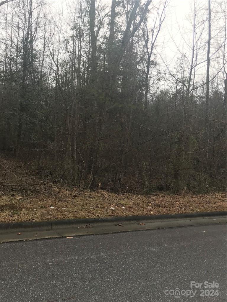 00 Circle Drive Property Photo 3