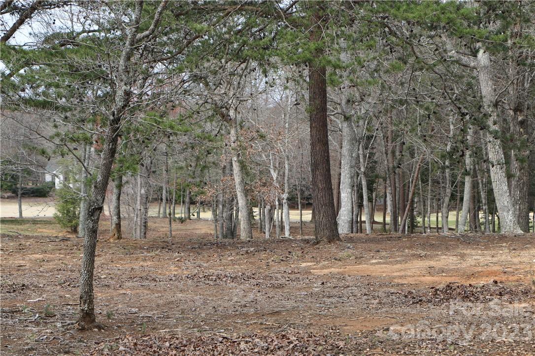 164 Stonebridge Drive Property Photo 8