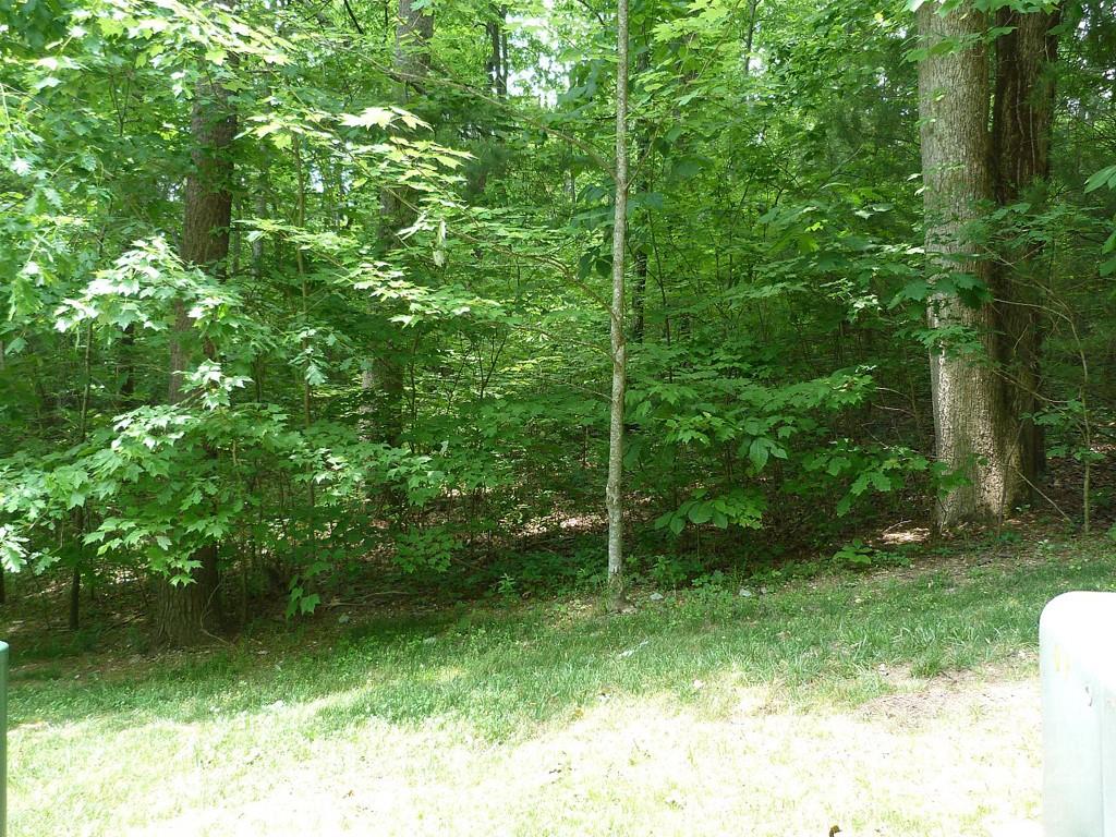 201 Bent Pine Trace 180 Property Photo 3