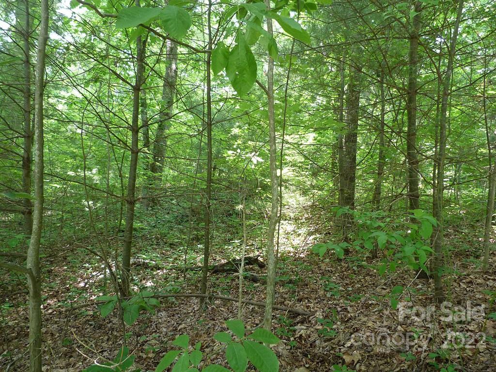 201 Bent Pine Trace 180 Property Photo 5