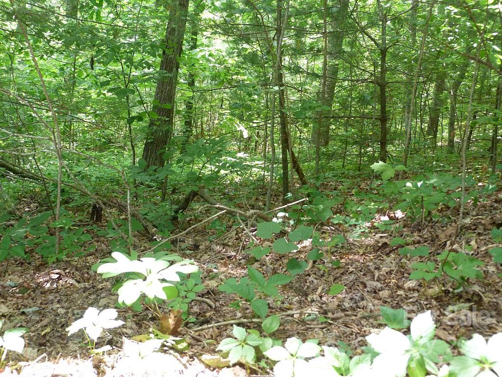 201 Bent Pine Trace 180 Property Photo 7