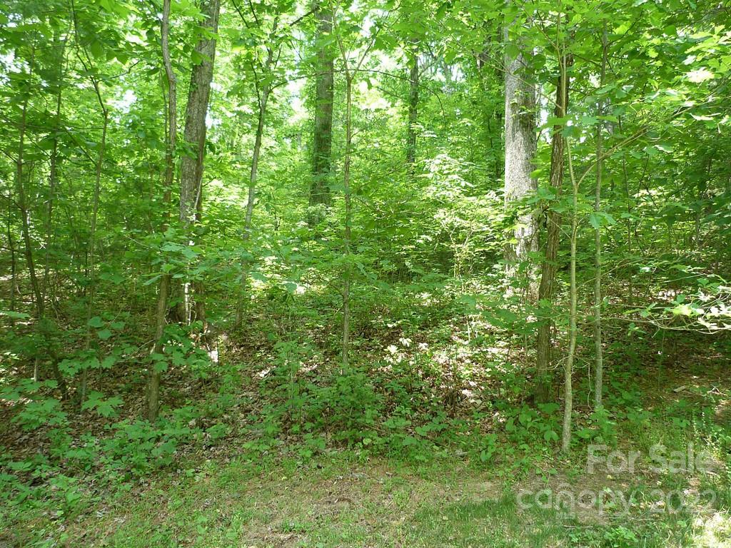 201 Bent Pine Trace 180 Property Photo 8