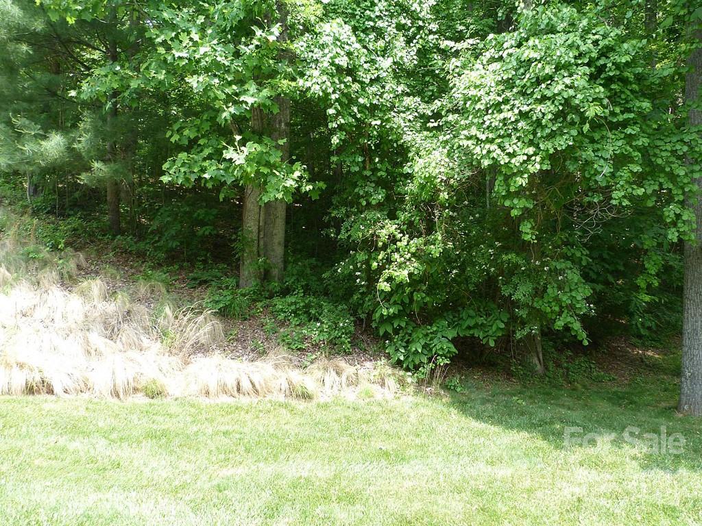 201 Bent Pine Trace 180 Property Photo 10