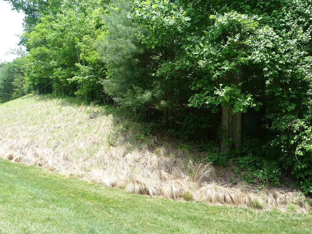 201 Bent Pine Trace 180 Property Photo 12