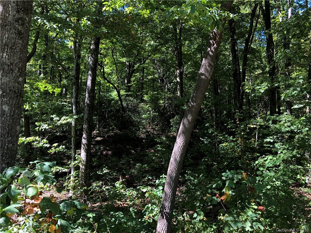 Lot #70 Marshall Ridge Road Property Photo