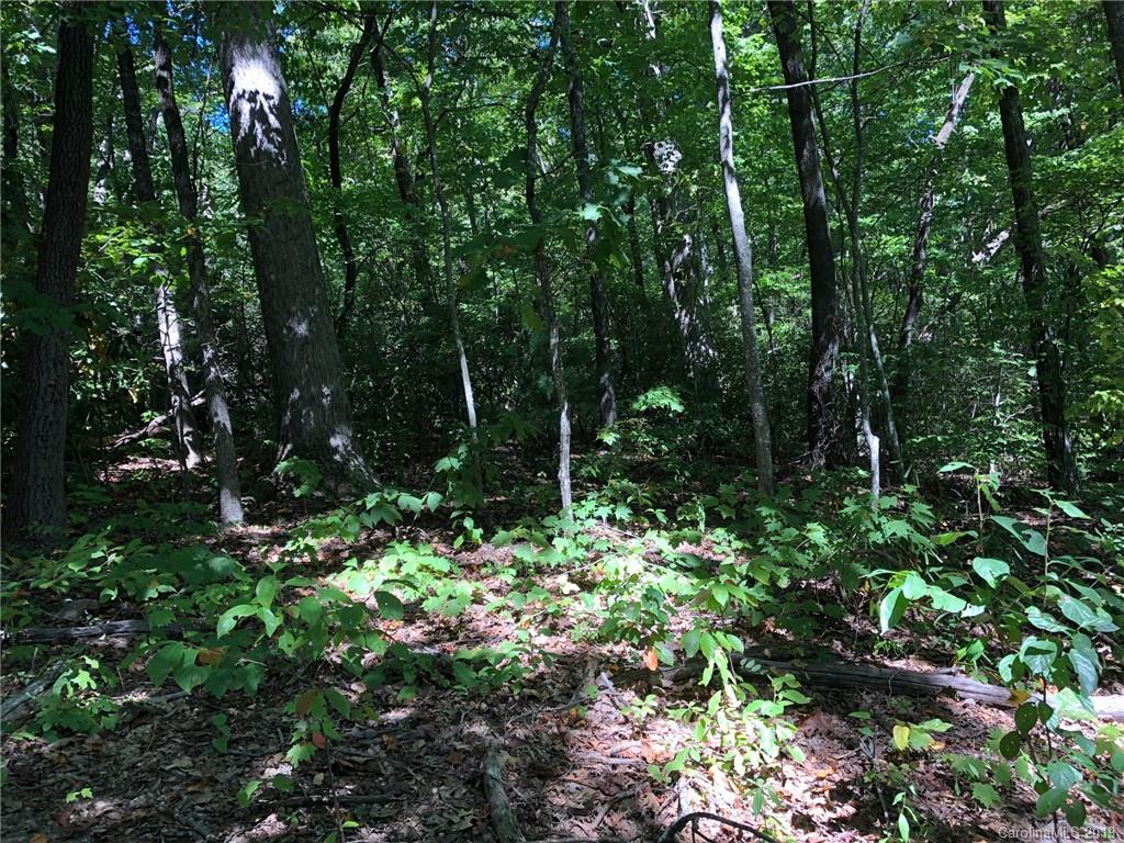 Lot #72 Marshall Ridge Road Property Photo