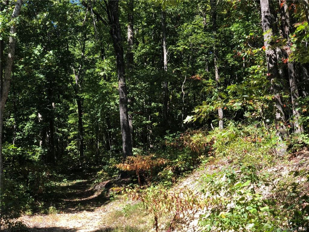 Lot #73 Marshall Ridge Road Property Photo