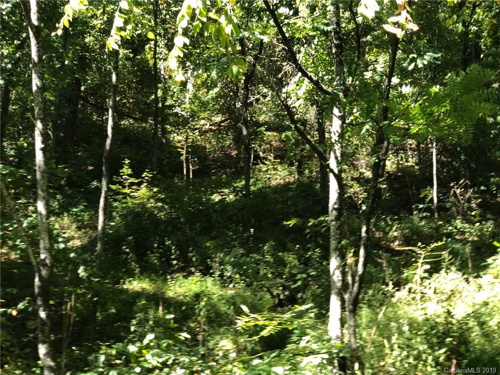 Lot #74 Marshall Ridge Road Property Photo