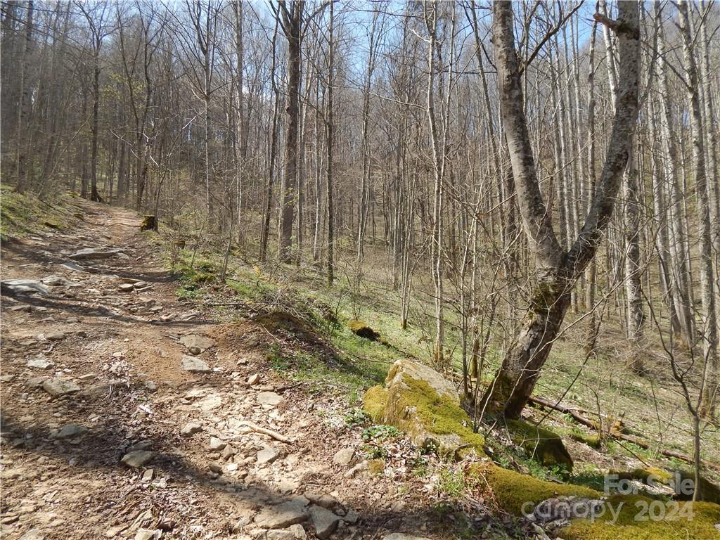 00 Gentry Farm Road Property Photo 2