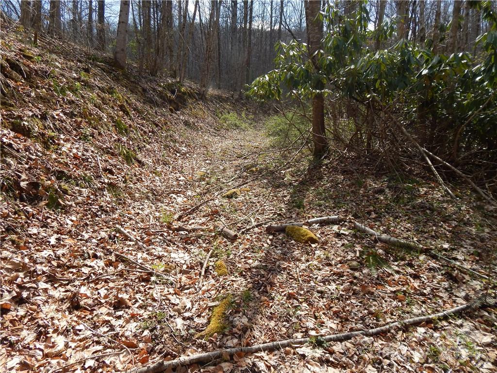 00 Gentry Farm Road Property Photo 3