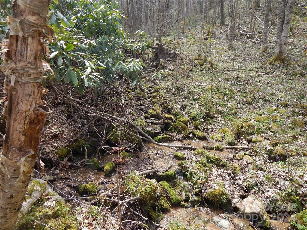 00 Gentry Farm Road Property Photo 12