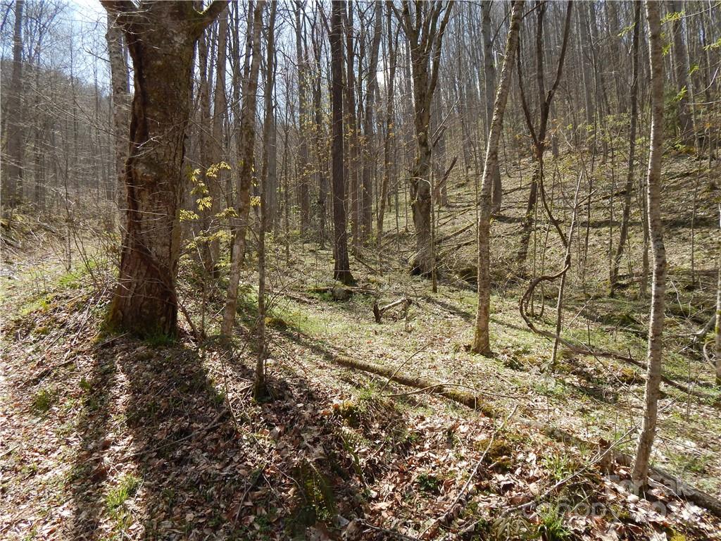 00 Gentry Farm Road Property Photo 13