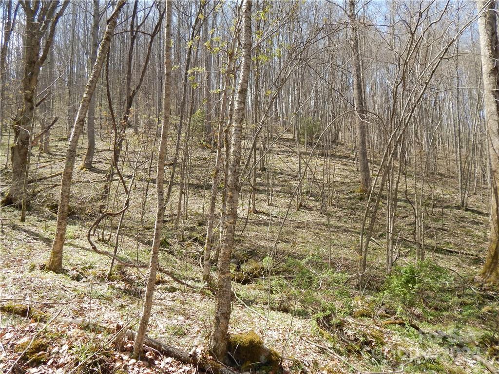00 Gentry Farm Road Property Photo 14