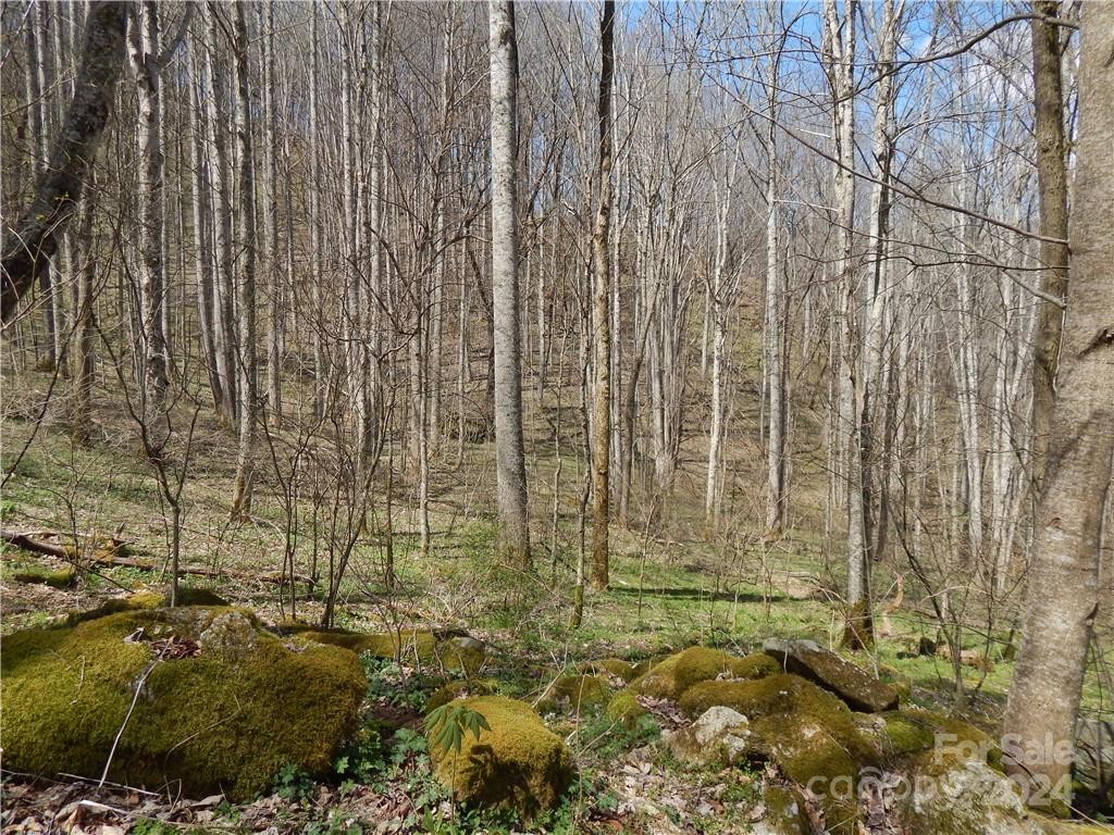 00 Gentry Farm Road Property Photo 15