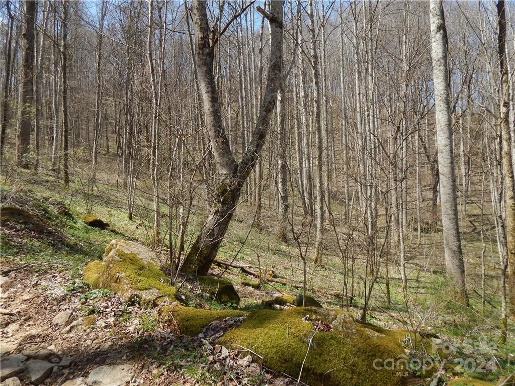 00 Gentry Farm Road Property Photo 16