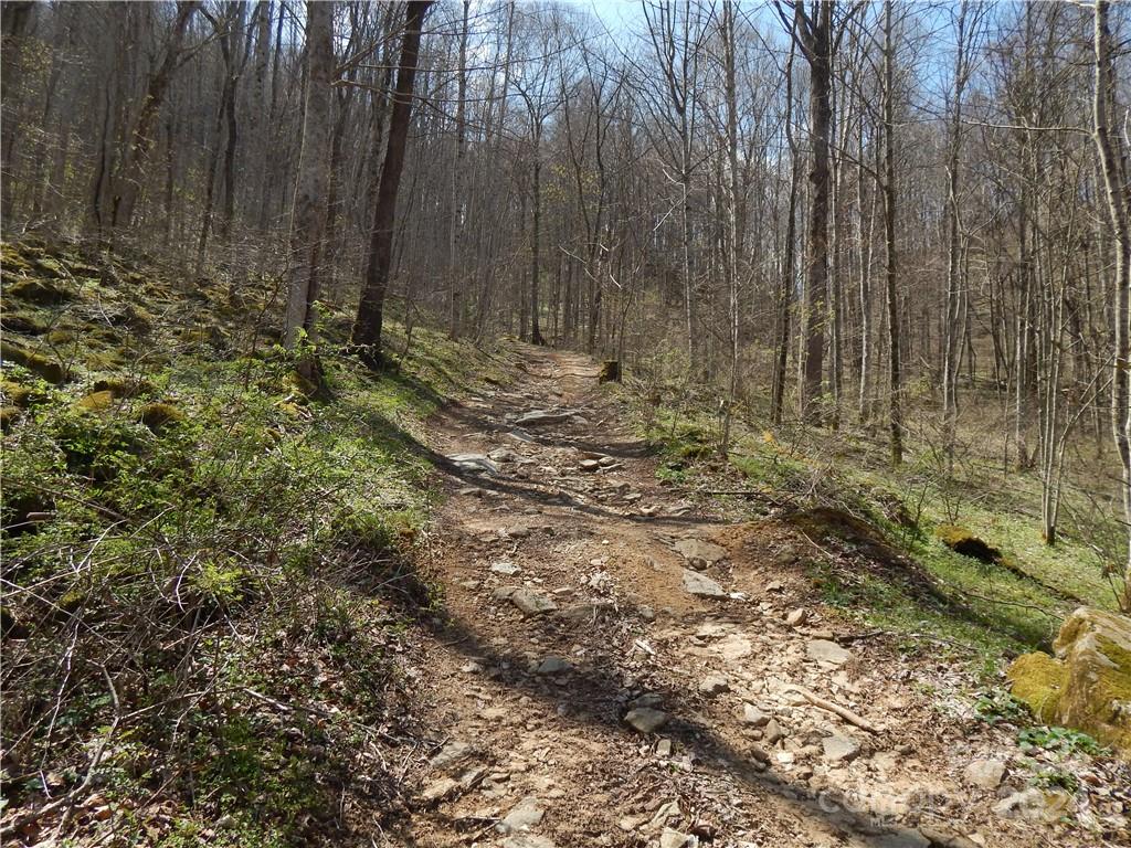 00 Gentry Farm Road Property Photo 17