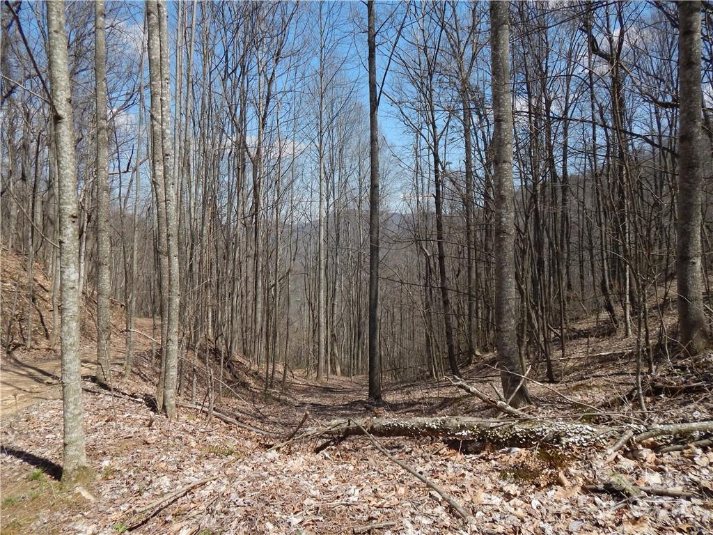 00 Gentry Farm Road Property Photo 18