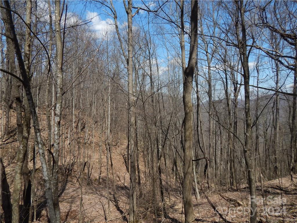 00 Gentry Farm Road Property Photo 19