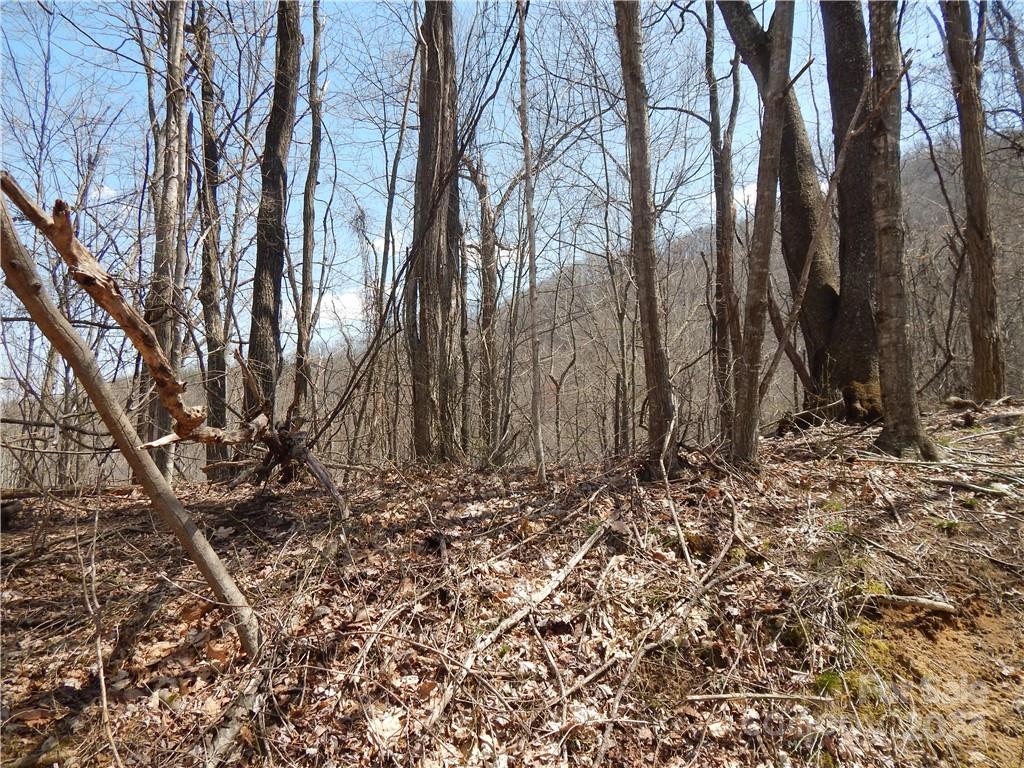 00 Gentry Farm Road Property Photo 20
