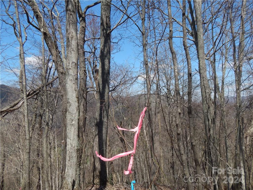 00 Gentry Farm Road Property Photo 23