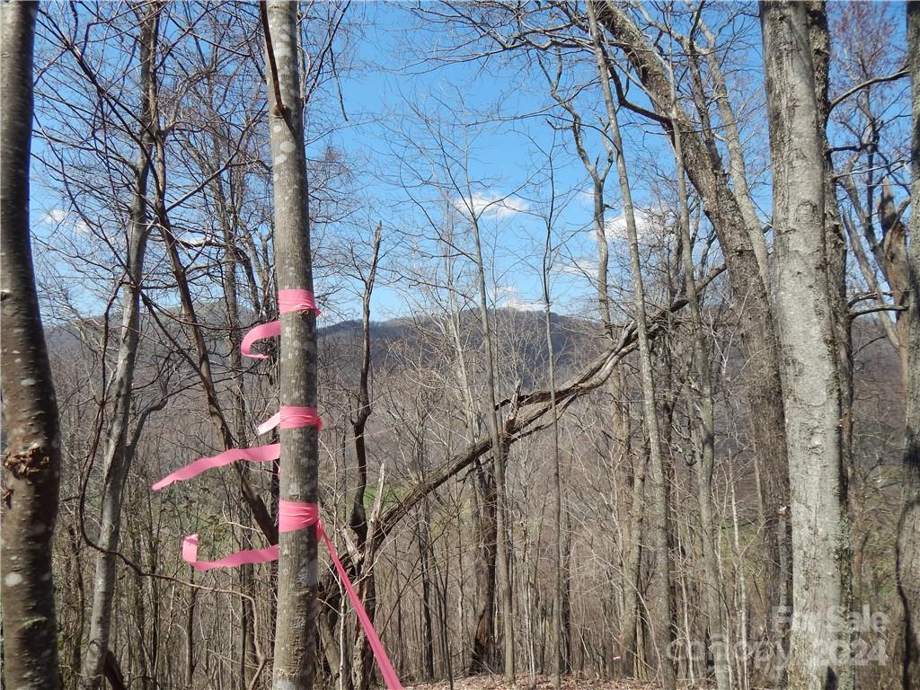 00 Gentry Farm Road Property Photo 24