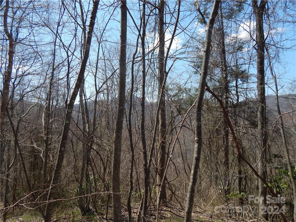00 Gentry Farm Road Property Photo 25