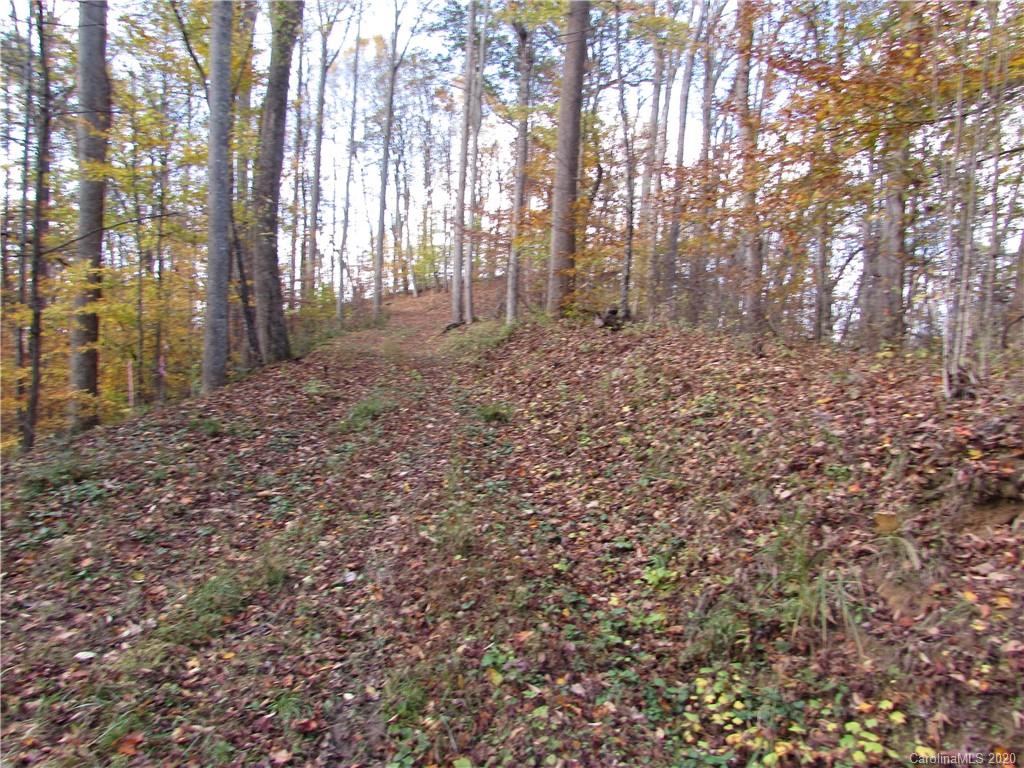 00 Red Wolf Run None Property Photo 1