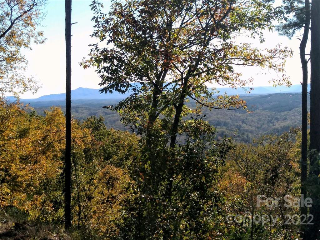 LOT 207 Golden Ridge Drive Property Photo 1