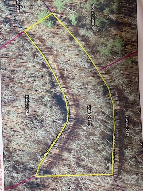 Lot 48 Mountain Forest Estates Road Property Photo