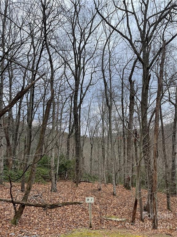 1027 Somersby Parkway Property Photo 2