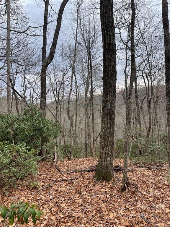 1027 Somersby Parkway Property Photo 5