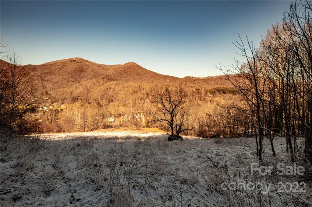 00000 Soco Road 7 Property Photo 3