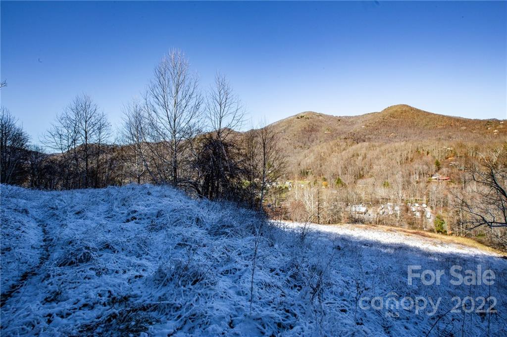 00000 Soco Road 7 Property Photo 4