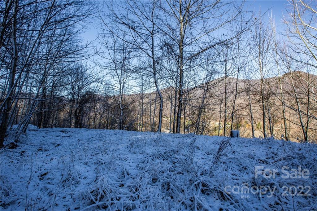 00000 Soco Road 7 Property Photo 30