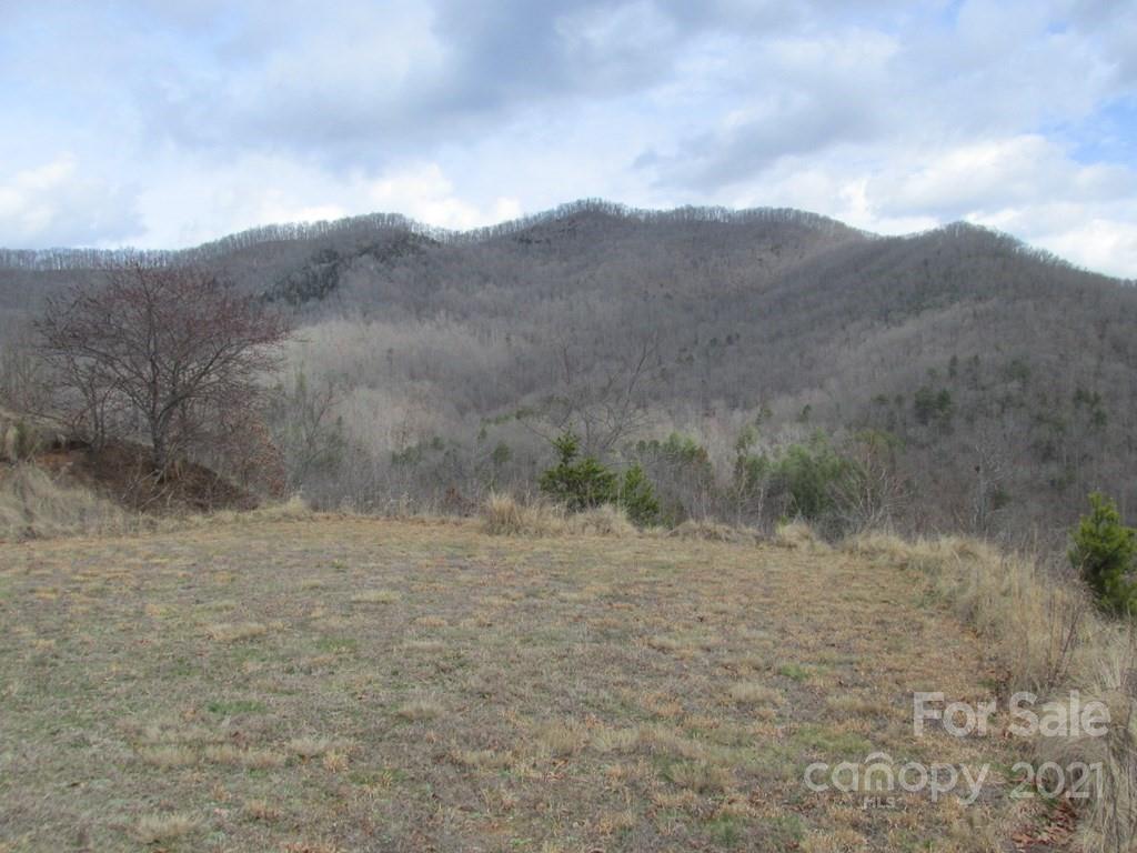 Lot 4 Wild Top Trail Property Photo 5