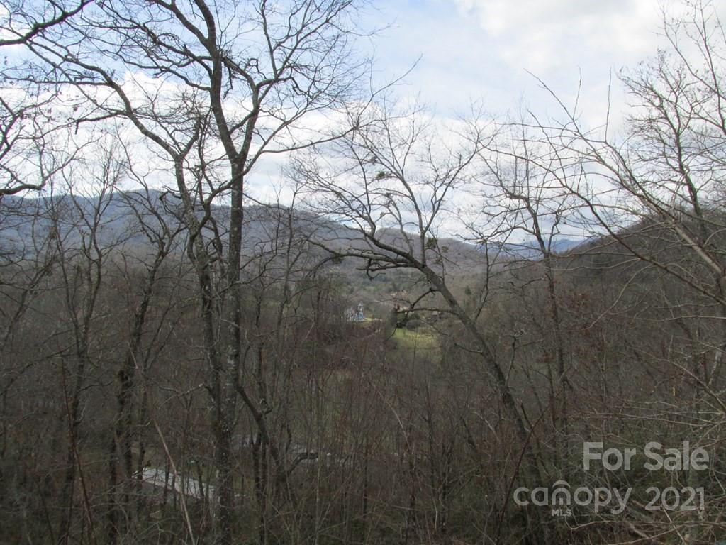 Lot 4 Wild Top Trail Property Photo 7