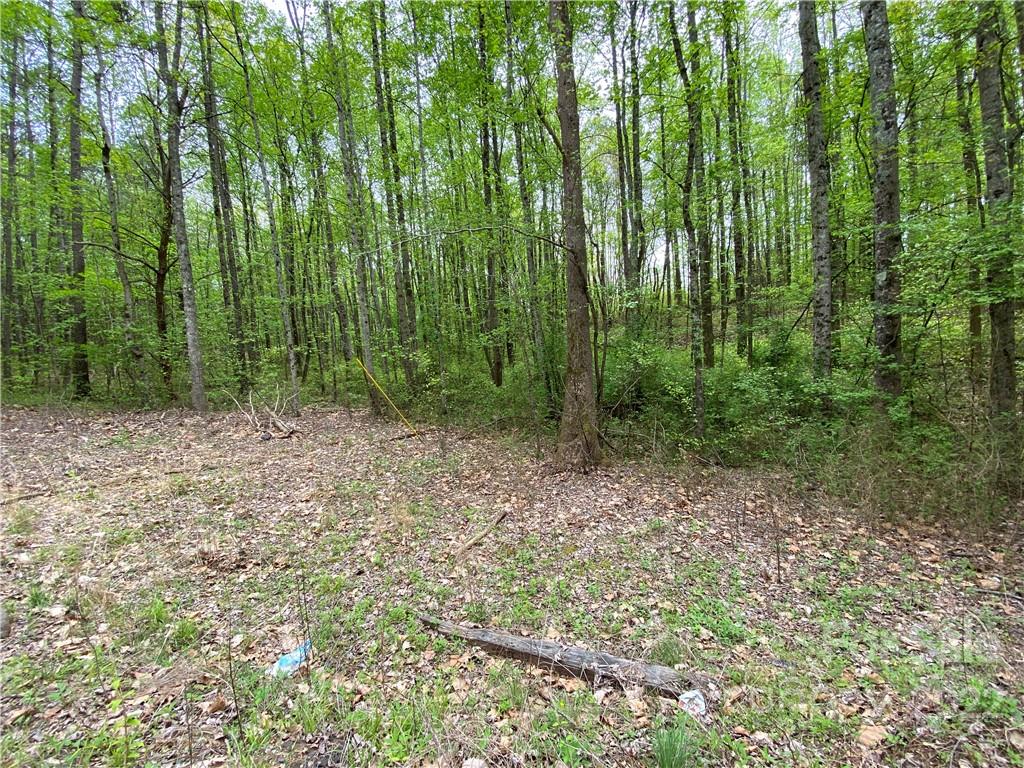 00 Sunrise Trail Property Photo 2